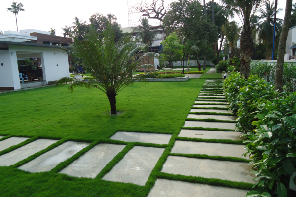Stone work-Walk Way-1