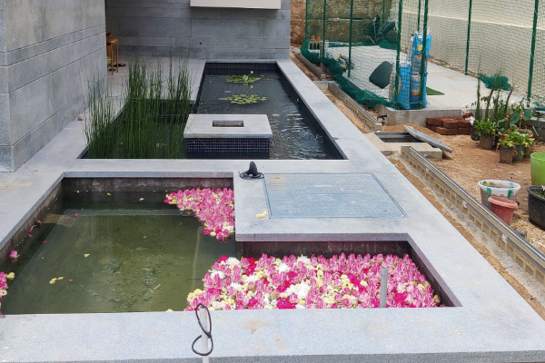 Swimming Pool - Water Bodies-6