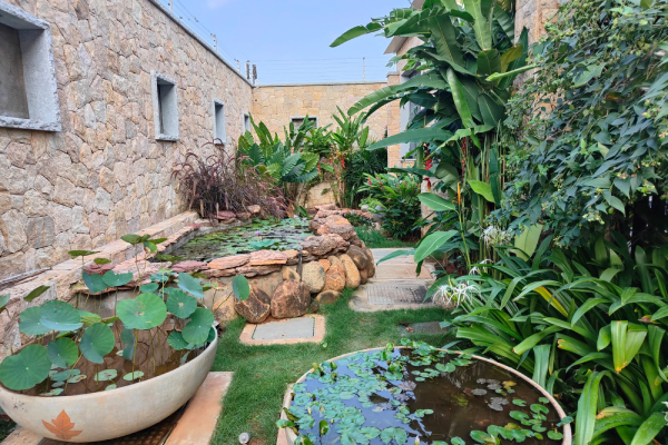 Swimming Pool - Water Bodies-7
