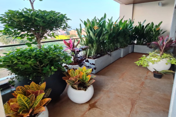 Terrace Garden-4