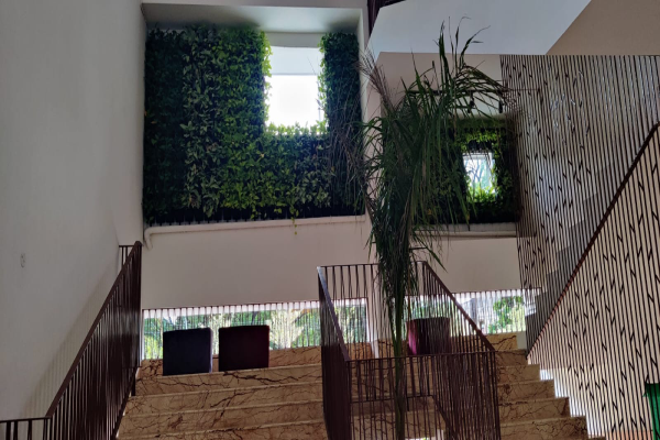 Vertical Garden- 1