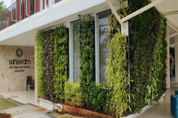 Vertical Garden- 2