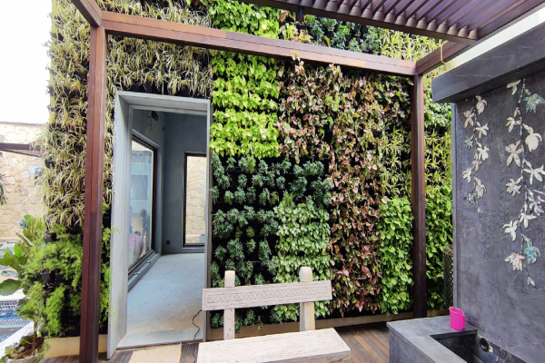 Vertical Garden- 3