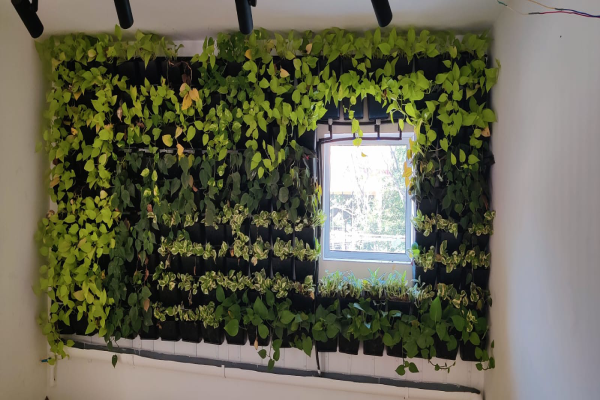 Vertical Garden- 4