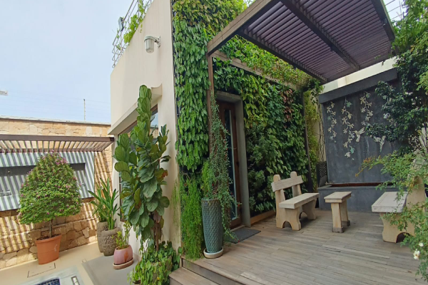 Vertical Garden-6