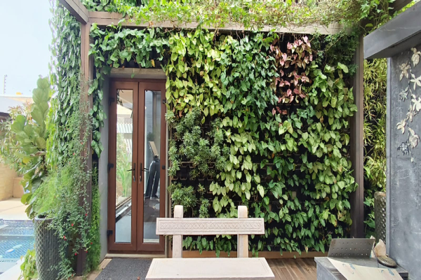 Vertical Garden- 7